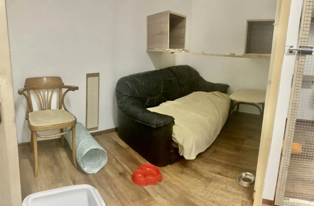 cica szoba dupla méret